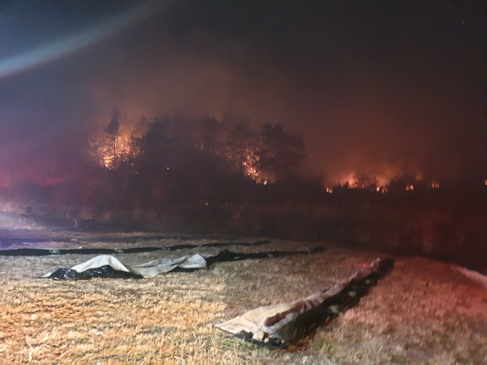 산림청, 전남 고흥군 금산면 거금도 야간 산불 발생