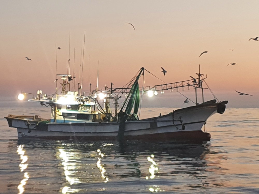 불법조업어선.(사진제공=부산해양경찰서)