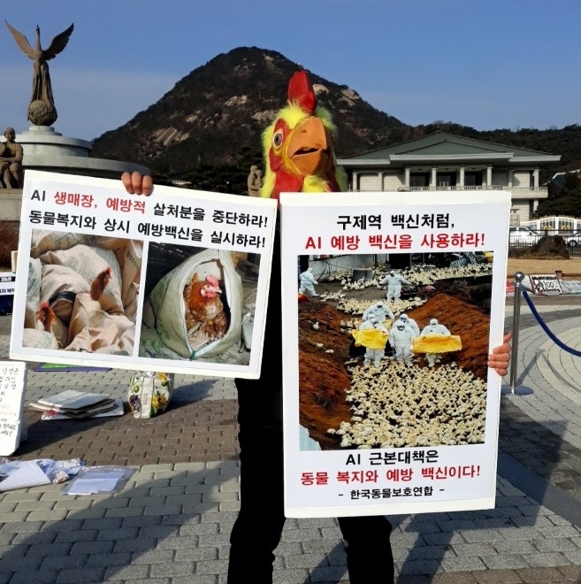 (사진제공=한국동물보호연합)