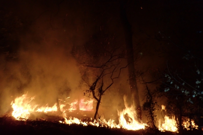 (사진제공=부산소방재난본부)