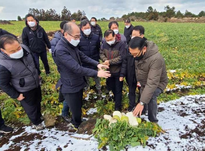 유찬형 농협중앙회 부회장, 제주지역 한파·폭설 피해 농업현장 점검