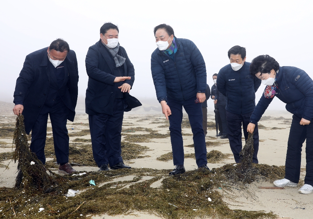 임준택 수협중앙회장(사진 중앙)이 22일 전남 신안군 양산해변에서 괭생이모자반 피해 상황을 점검하고 있다.(사진=수협중앙회)