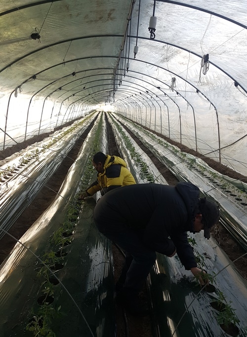 (사진제공=부산준법지원센터)