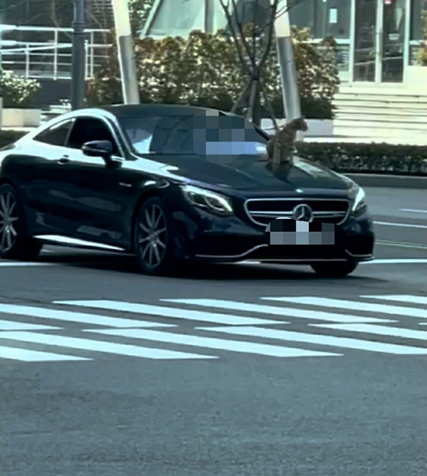 (사진제공=독자)