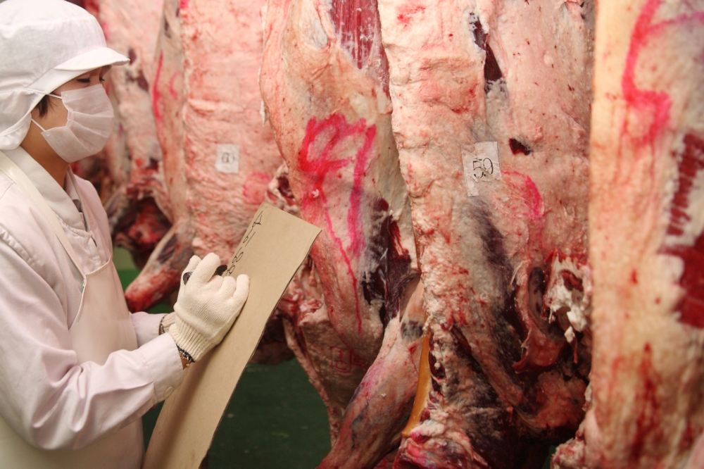 농협, 20년도 소 근출혈 피해 농가에 23억 3천만원 보상