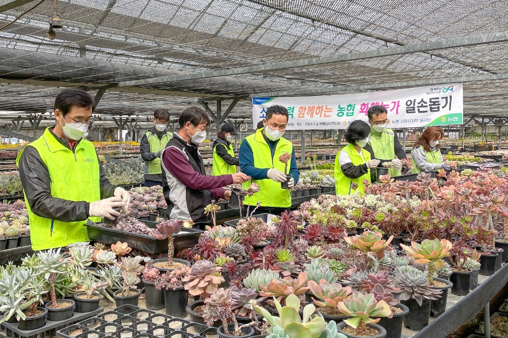 NH농협은행 외환사업부, 화훼농가 일손돕기 실시