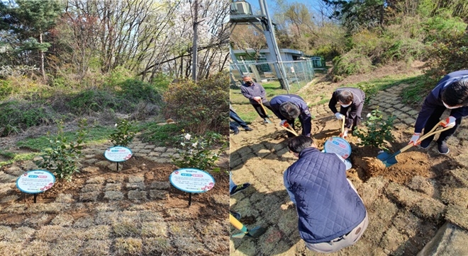 청렴나무 식재로 청렴동산을 조성하고 있다. (사진제공=서울소년분류심사원)