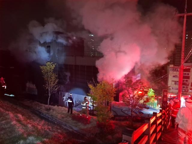 (사진제공=부산경찰청)