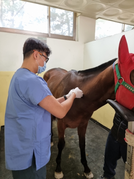 한국마사회, 2021년 상반기 전국 말 방역사업 시행