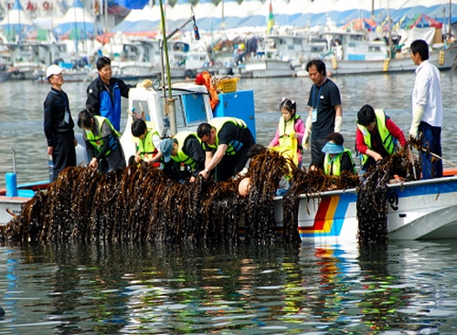 기장미역·다시마축제 모습.(사진제공=대한민국 구석구석)