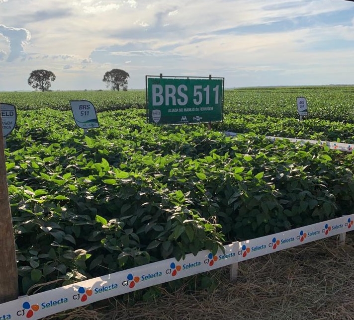 CJ제일제당, “지구 환경보호 위해 아마존 대두 구매 않겠다”