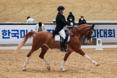 한국마사회, 2021년 민간 승마대회 활성화 사업 추진