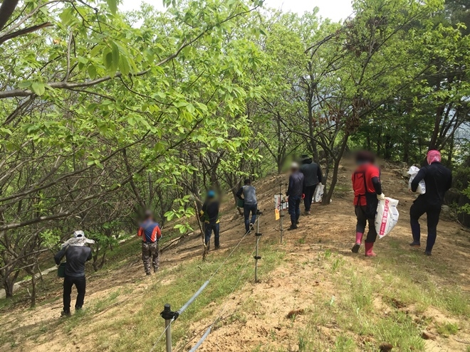 사회봉사대상자들이 밤재배농가에 비료작업 및 임도정비를 하고 있다.(사진제공=거창준법지원센터)