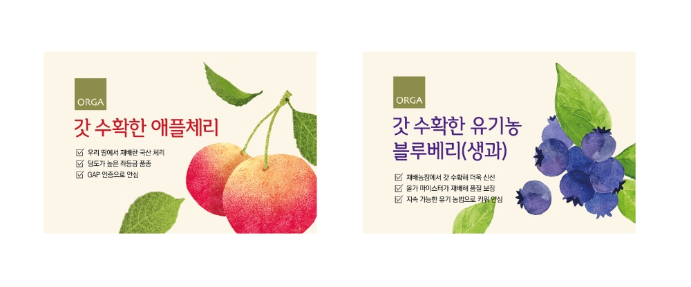 풀무원 올가홀푸드 ‘갓 수확한 과일’ 5종 출시