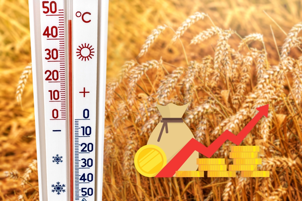 ‘미국과 캐나다 기록적인 고온건조 날씨로 작황피해 심각’ 미국 ‘밀 현물시세’ 폭등
