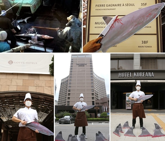 (사진제공=환경운동연합)