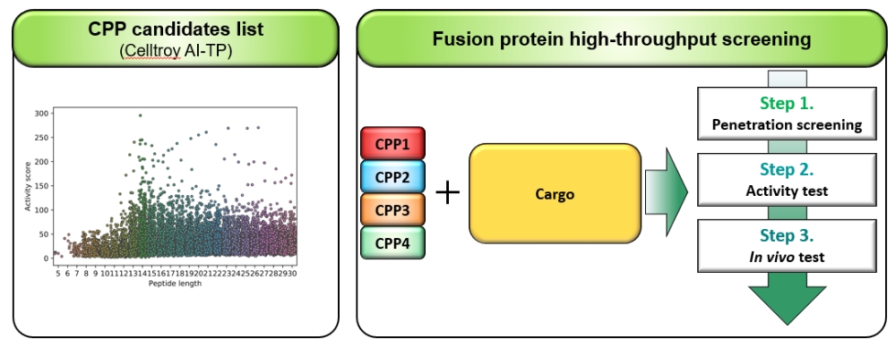 국동 관계사 ‘쎌트로이', 새로운 세포투과성 플랫폼 특허 출원