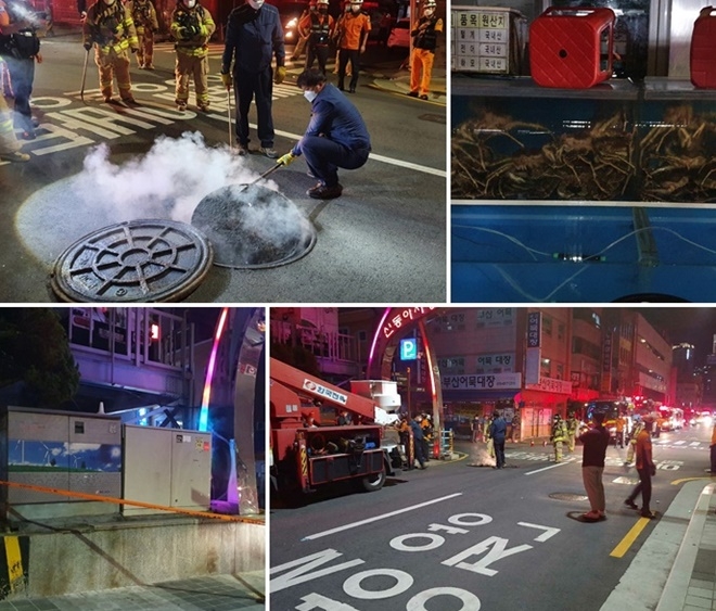 (사진제공=부산경찰청)