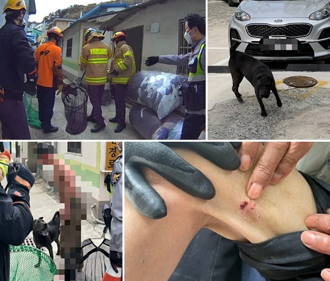 (사진제공=부산경찰청)