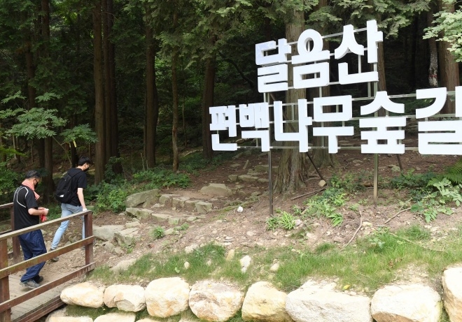 오규석 기장군수가 11월 2일 달음산 등산로 및 편백나무숲길 신규 개설공사구간 현장을 점검하고 있다. (사진제공=부산 기장군)