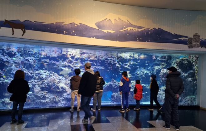 제주아쿠와플라넷.(사진제공=제주보호관찰소)