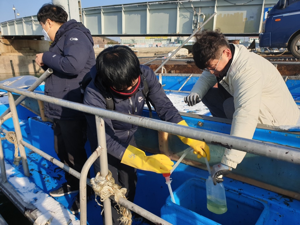 김 채취 양식 현장 검문·검색을 실시하고 있다.