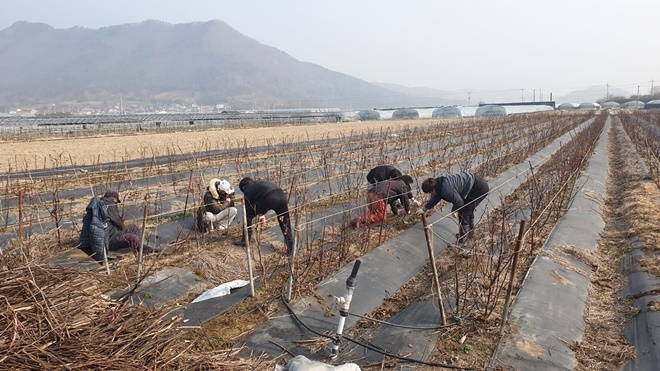 (사진제공=부산준법지원센터)