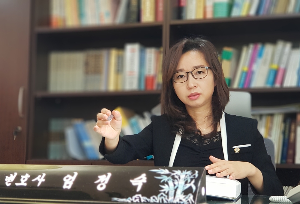 엄정숙 변호사.(사진제공=법도종합법률사무소)