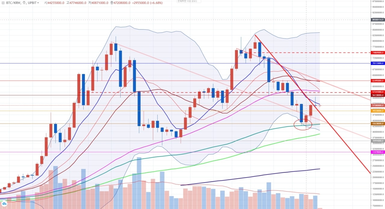 다인 2월 셋째 주 암호화폐… 비트코인. 기술적 반등 후 숨고르기?