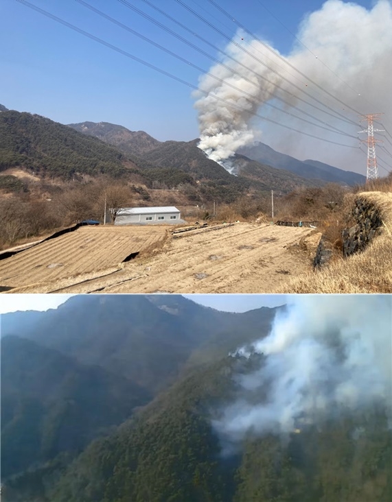 (사진제공=산림청)