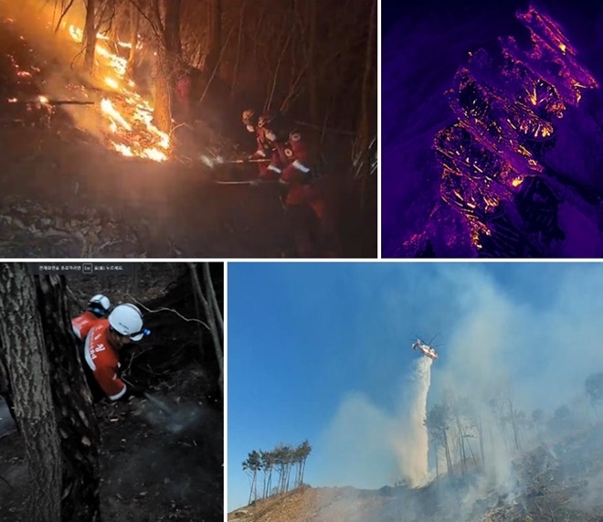 (사진제공=산림청)