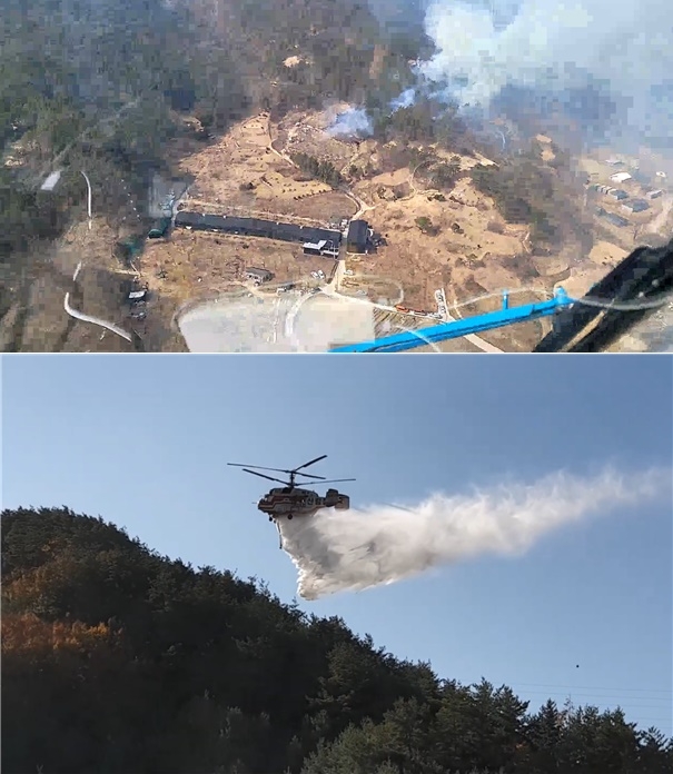 (사진제공=산림청)