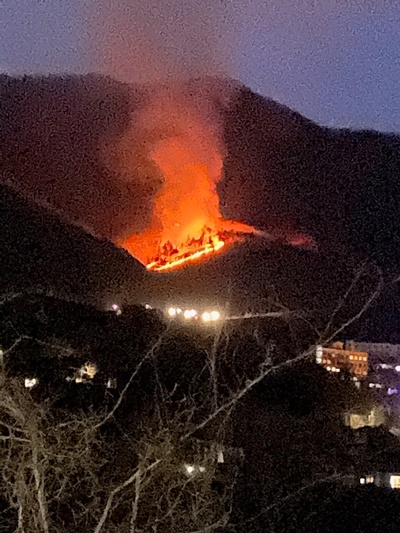 (사진제공=산림청)