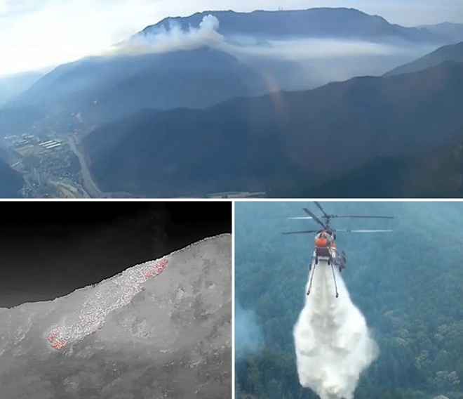 (사진제공=산림청)