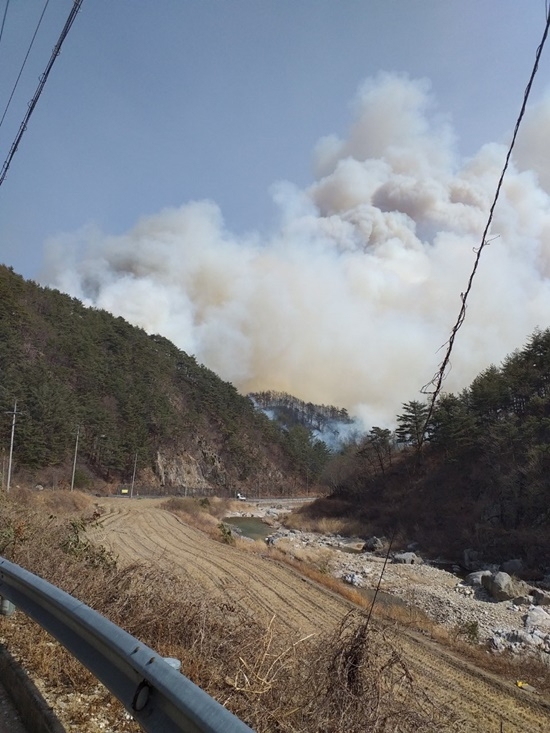 (사진제공=산림청)