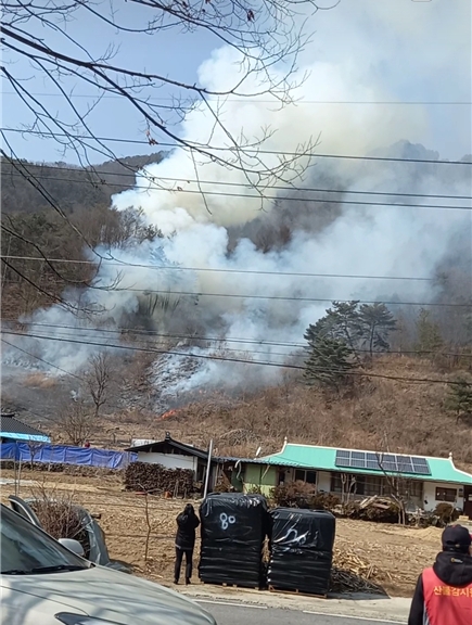 (사진제공=산림청)