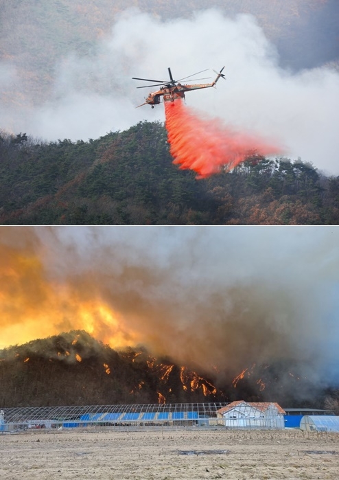 (사진제공=산림청)