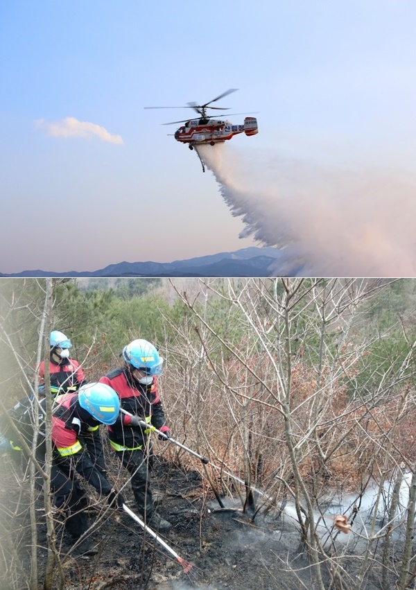 (사진제공=산림청)