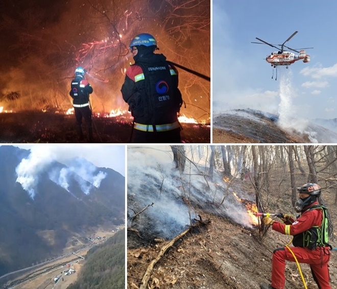 (사진제공=산림청)