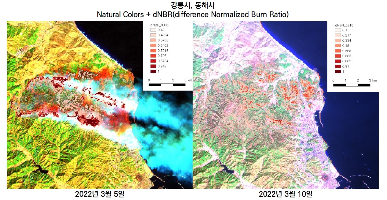 감면안내 이미지 및 위성 산불 전경.(사진= LX한국국토정보공사)