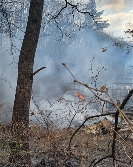 (사진제공=산림청)