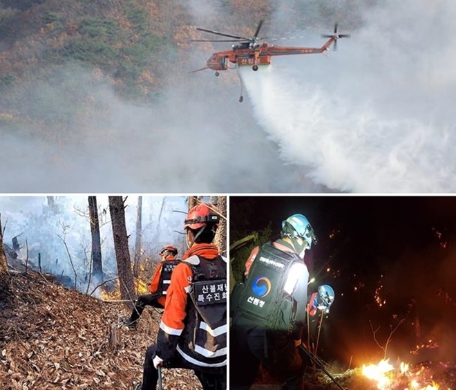 (사진제공=산림청)