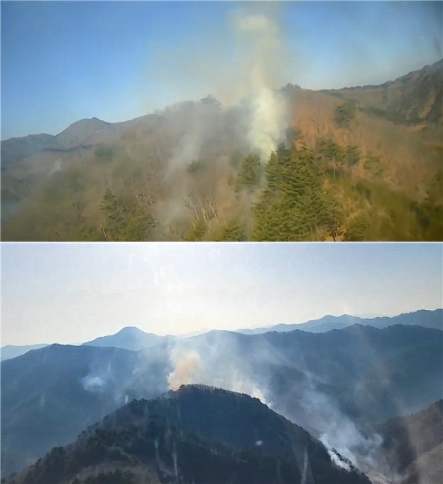 경북 봉화군 산불현장.(사진제공=산림청)