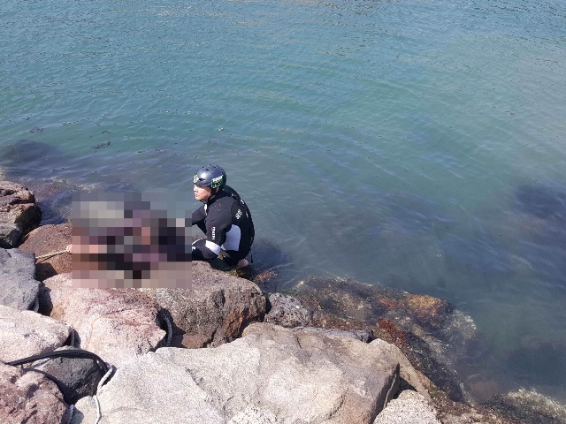 (사진제공=부산해양경찰서)