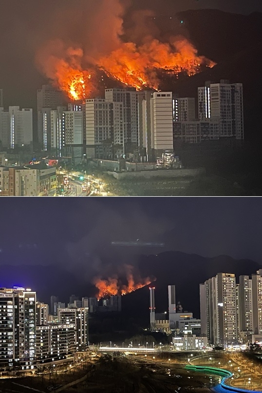 (사진제공=산림청)