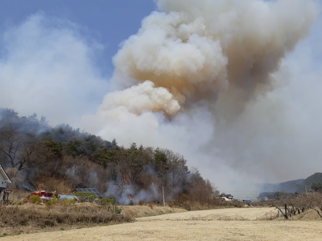 (사진제공=산림청)