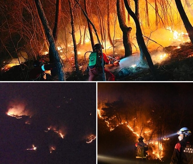 산불특수진화대 진화모습.(사진제공=산림청)