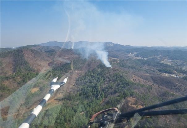 (사진제공=산림청)
