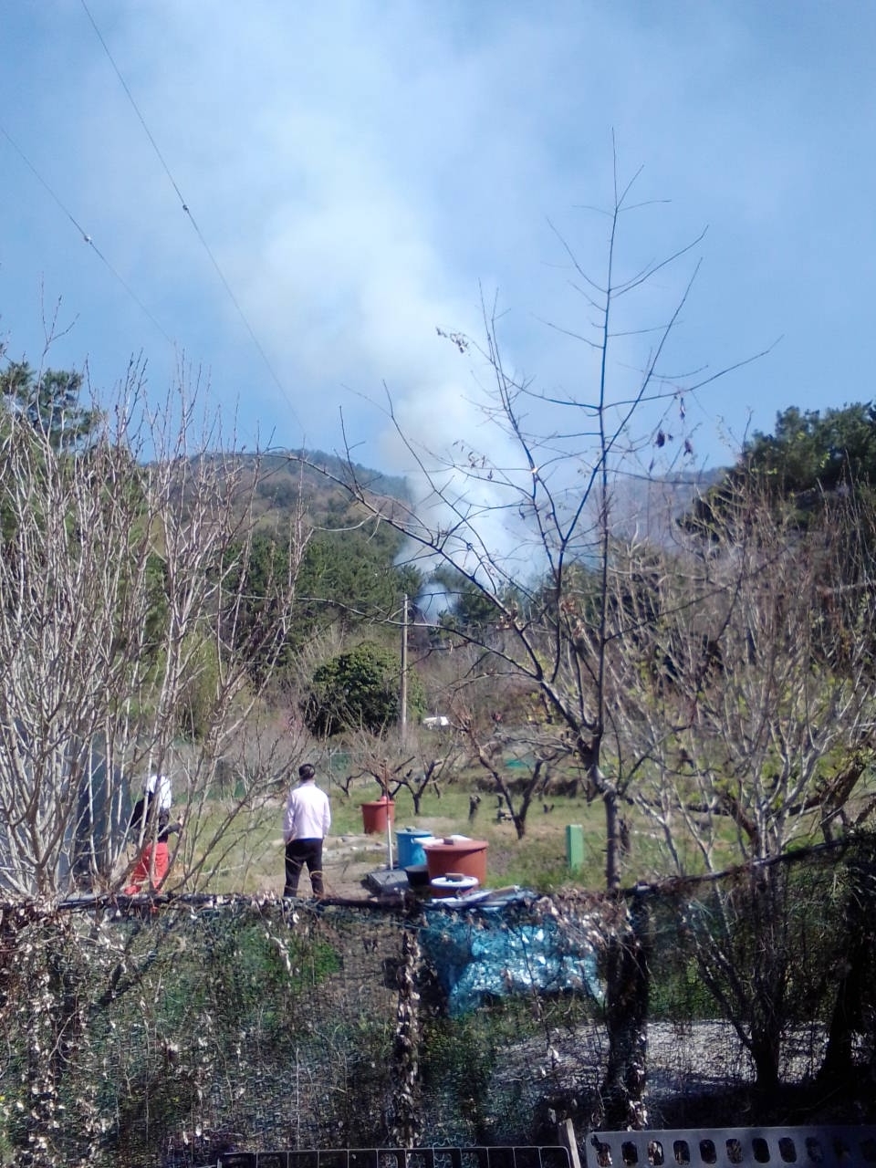 (사진제공=산림청)