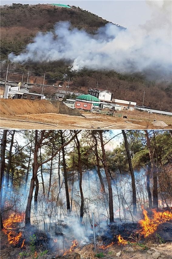 (사진제공=산림청)